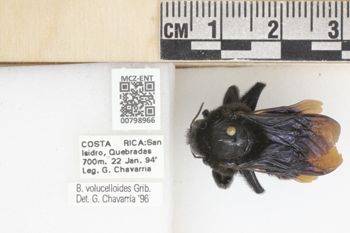 Media type: image;   Entomology 798966 Aspect: labels